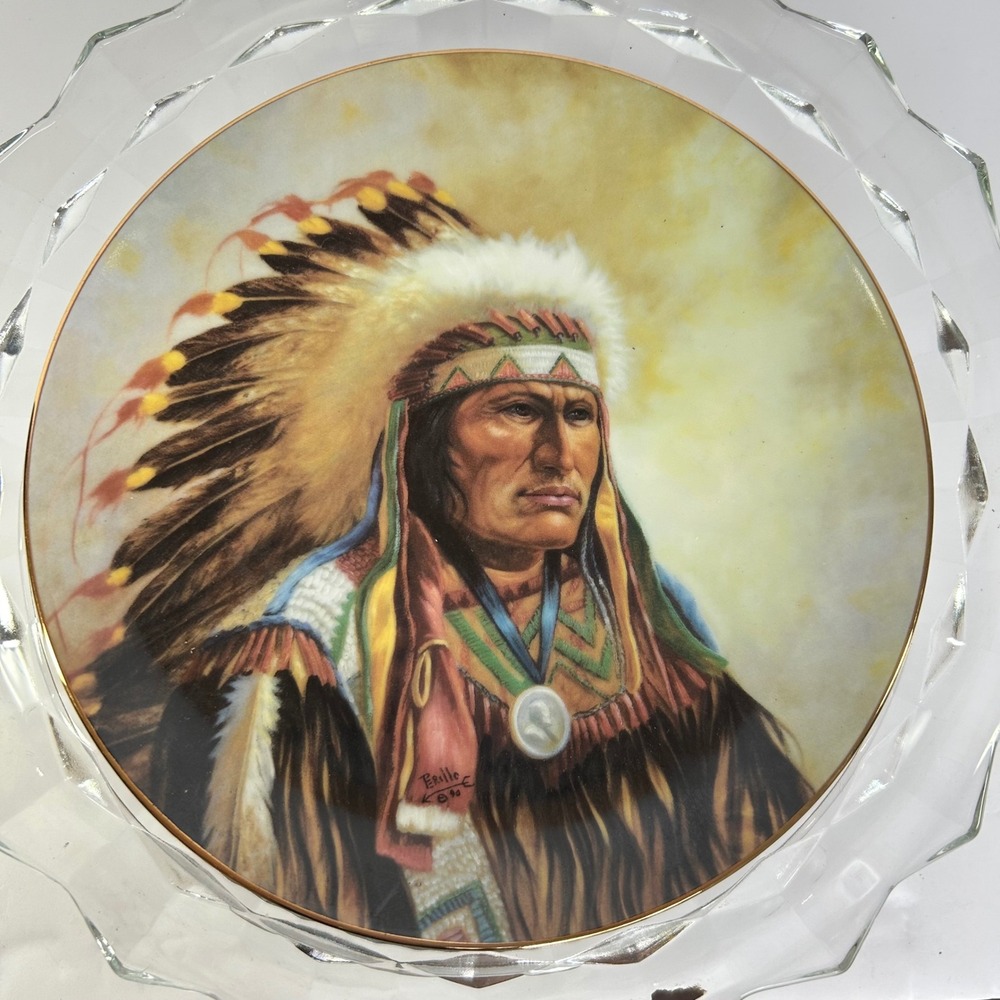Strength of the Sioux Plate Council of Nations Collector Decor Art